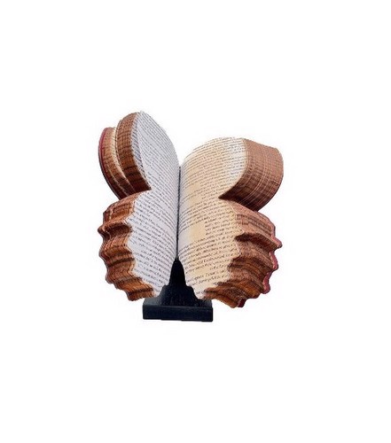 تصویر غش گیر کتاب طرح پروانه