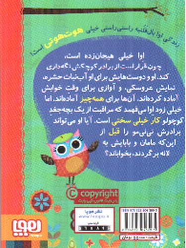 تصویر کتاب دفترچه خاطرات جغد 10 : اوا بال قلنبه و نی نی مو