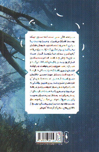 تصویر کتاب ساوی (موهبت درون)