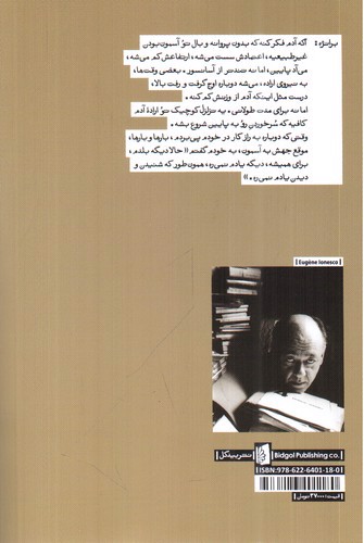 تصویر کتاب عابر هوایی