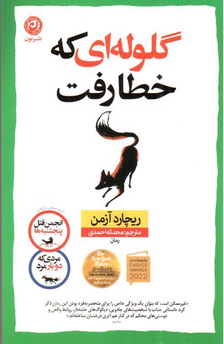 تصویر کتاب گلوله ای که خطا رفت
