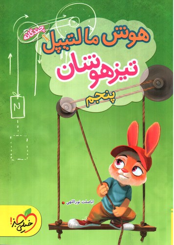 تصویر کتاب خیلی سبز هوش مالتیپل پنجم (تیزهوشان)