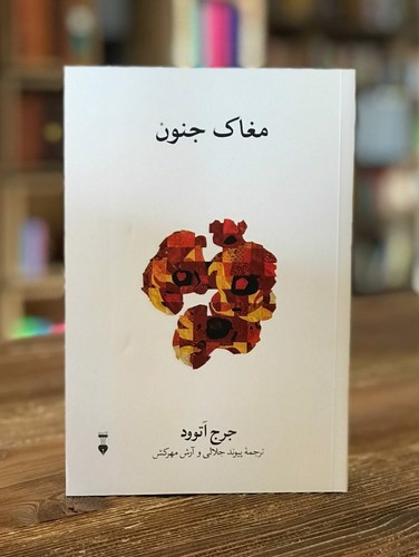 تصویر کتاب مغاک جنون