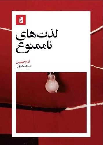 تصویر کتاب لذت های ناممنوع