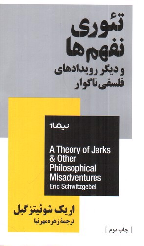 تصویر کتاب تئوری نفهم ها (و دیگر رویداد فلسفی ناگوار)