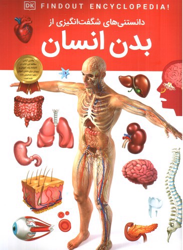 تصویر کتاب دانستنی های شگفت انگیزی از بدن انسان