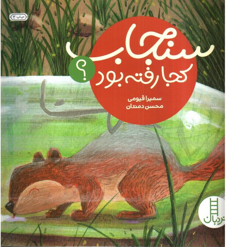 تصویر کتاب سنجاب کجا رفته بود