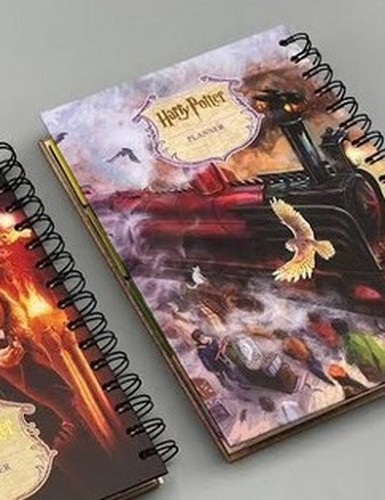تصویر پلنر سالانه پوستر دار هری پاتر (کد 1)