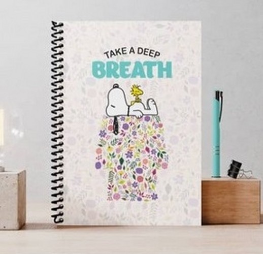 تصویر دفتر یادداشت و پلنر اسنوپی (طرح 3)