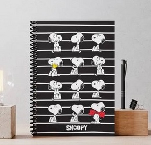 تصویر دفتر یادداشت و پلنر اسنوپی (طرح 4)