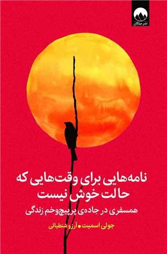 تصویر کتاب نامه هایی برای وقت هایی که حالت خوش نیست