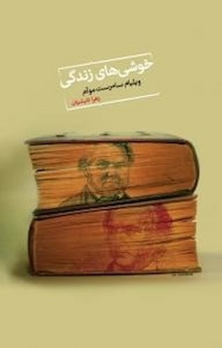 تصویر کتاب خوشی های زندگی