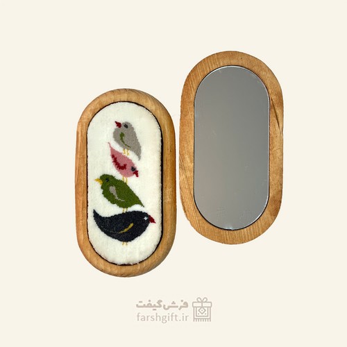 تصویر آینه دستی پرواز