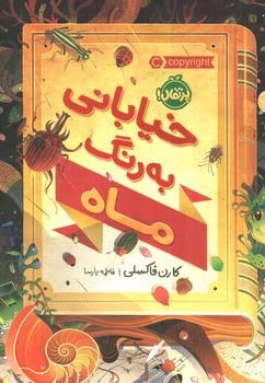 تصویر کتاب خیابانی به رنگ ماه