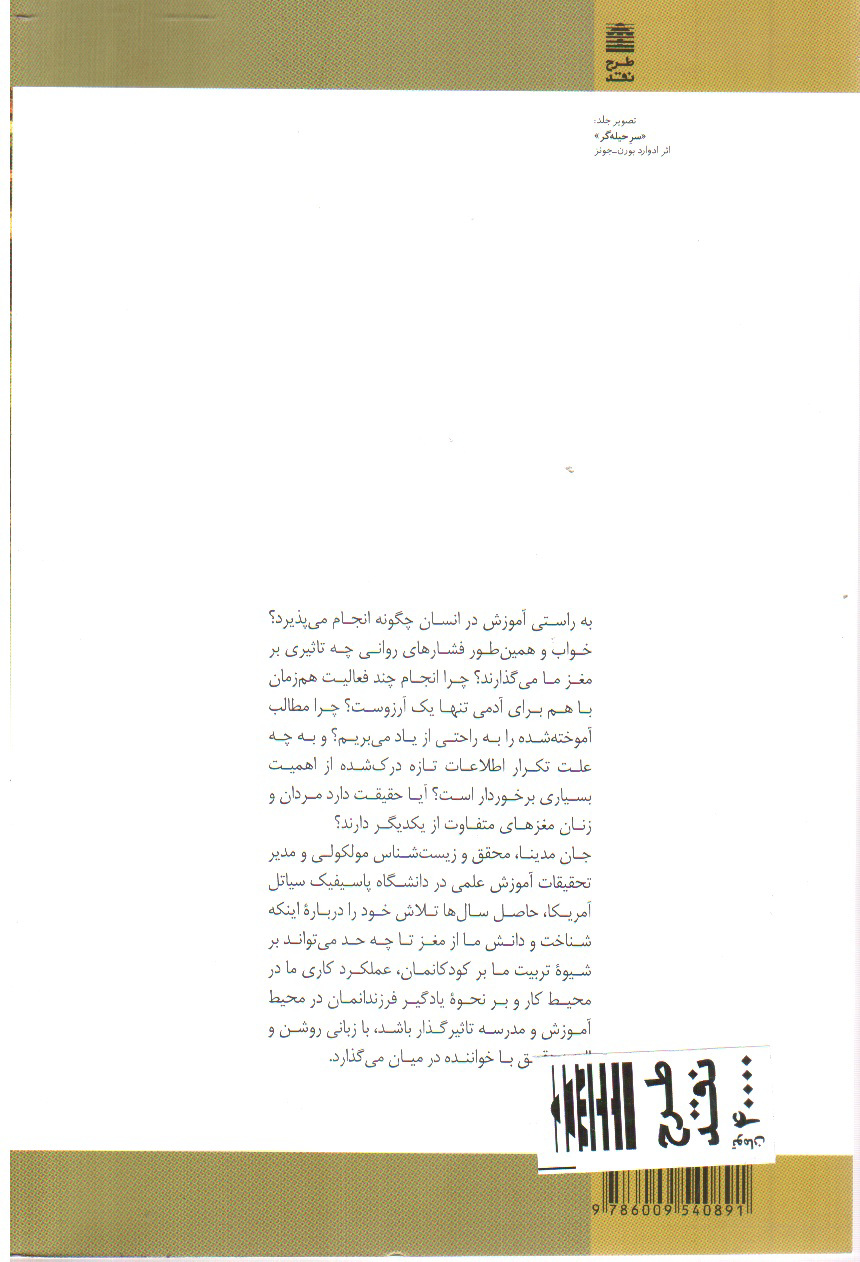 تصویر کتاب قوانین مغز