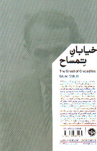 تصویر کتاب خیابان تمساح