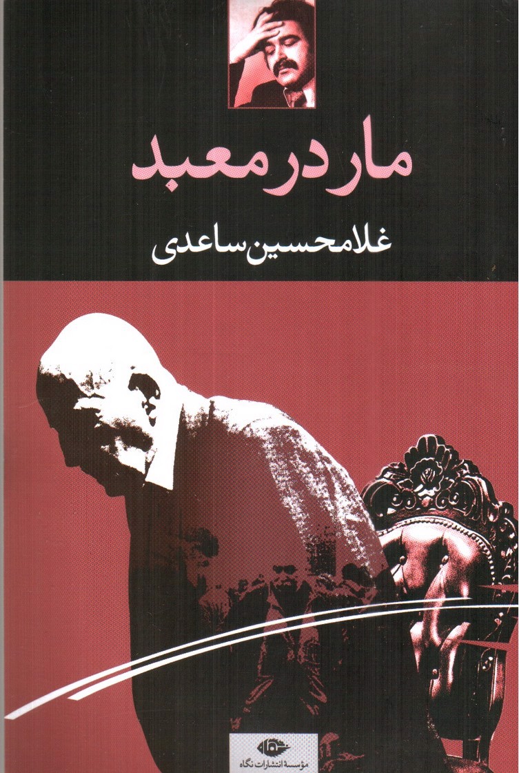 تصویر کتاب مار در معبد