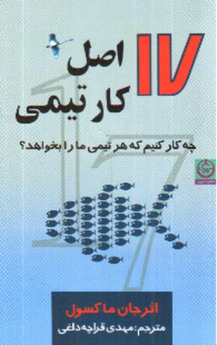 تصویر کتاب 17 اصل کار تیمی (چه کار کنیم که هر تیمی مارا بخواهد)
