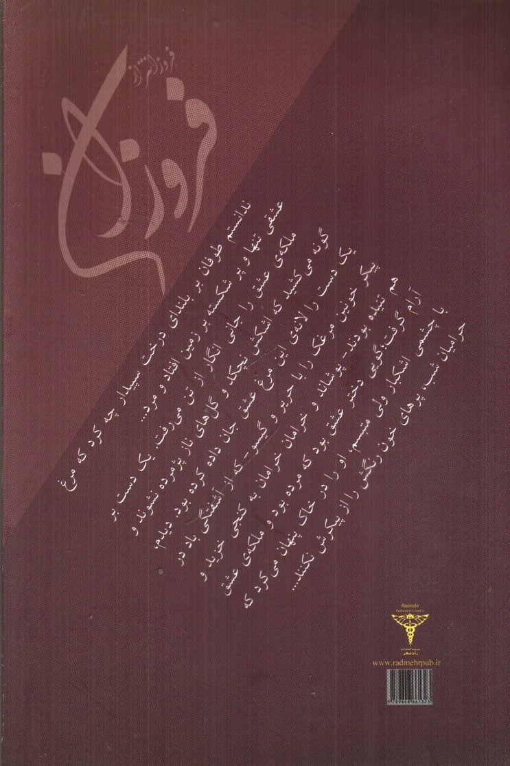 تصویر کتاب فروزانتر از فروزان 