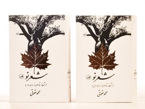 تصویر کتاب شعر نو از آغاز تا امروز ( مجموعه دو جلدی)