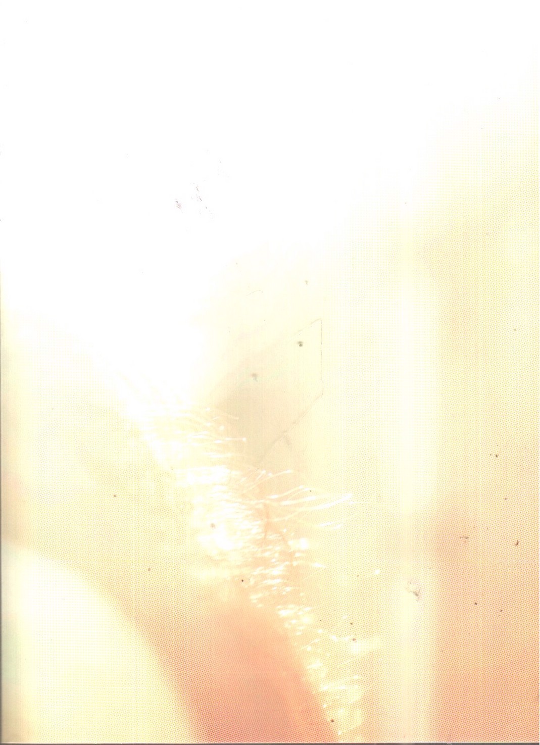 تصویر کتاب الف خم خسروانی