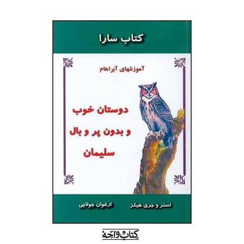 تصویر کتاب دوستان خوب و بدون پر و بال سلیمان