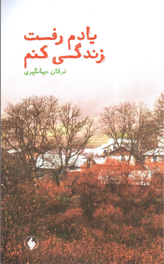 تصویر کتاب یادم رفت زندگی کنم
