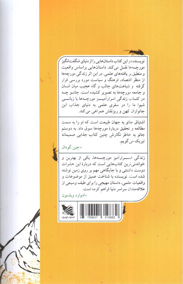 تصویر کتاب زندگی اسرار آمیز مورچه ها