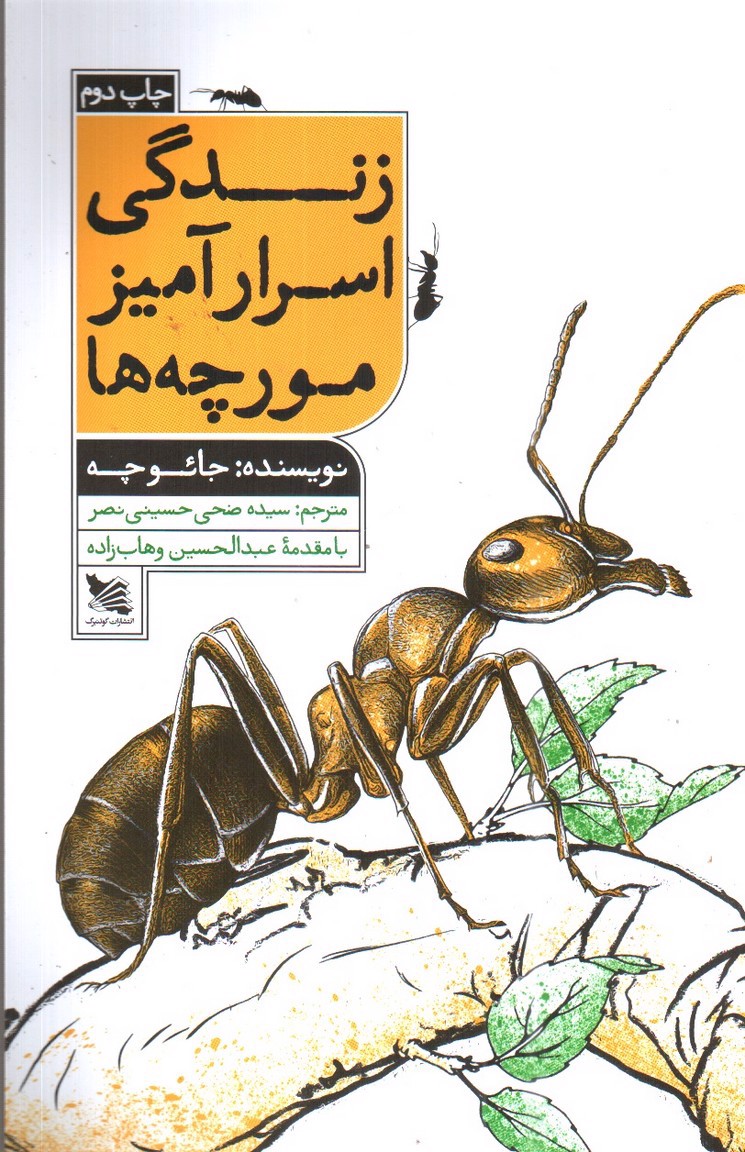 تصویر کتاب زندگی اسرار آمیز مورچه ها