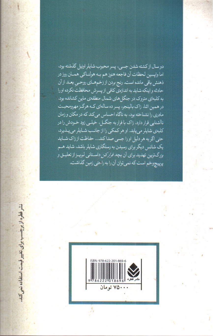 تصویر کتاب فرار کن (ادبیات پلیسی 29)