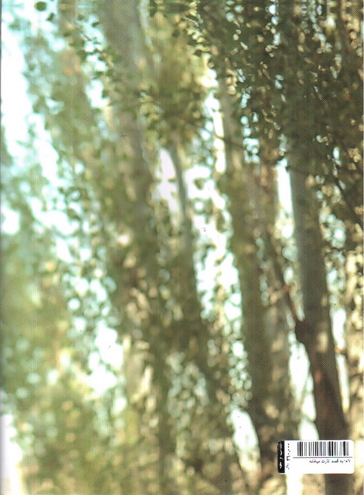 تصویر کتاب لام؛ به قصد غارت میخانه