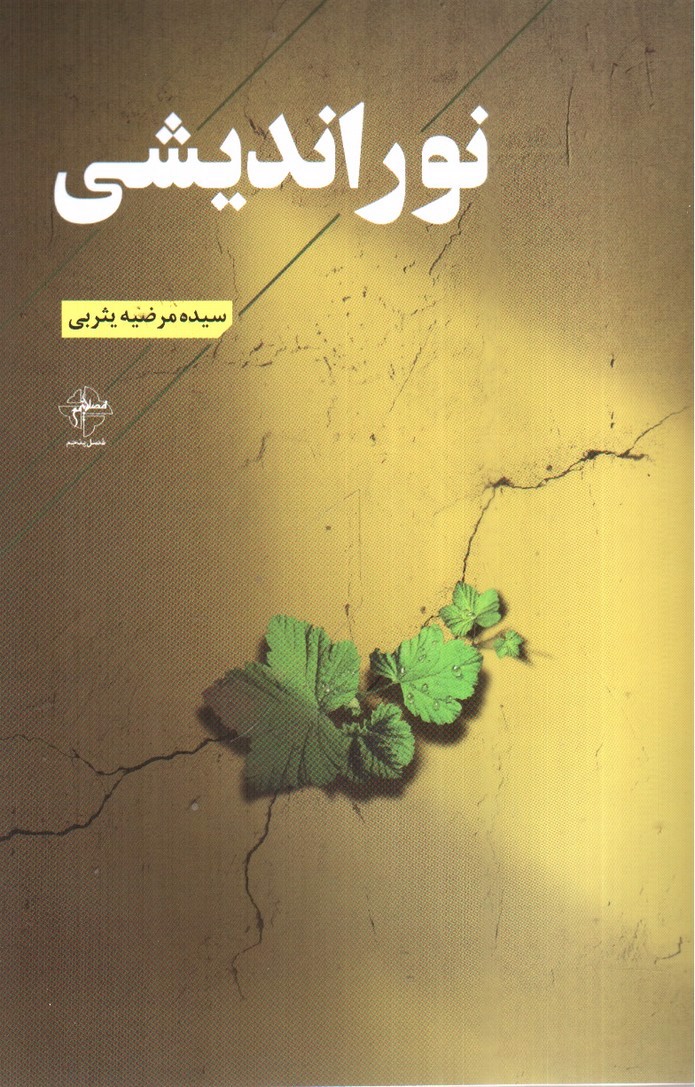 تصویر کتاب نور اندیشی