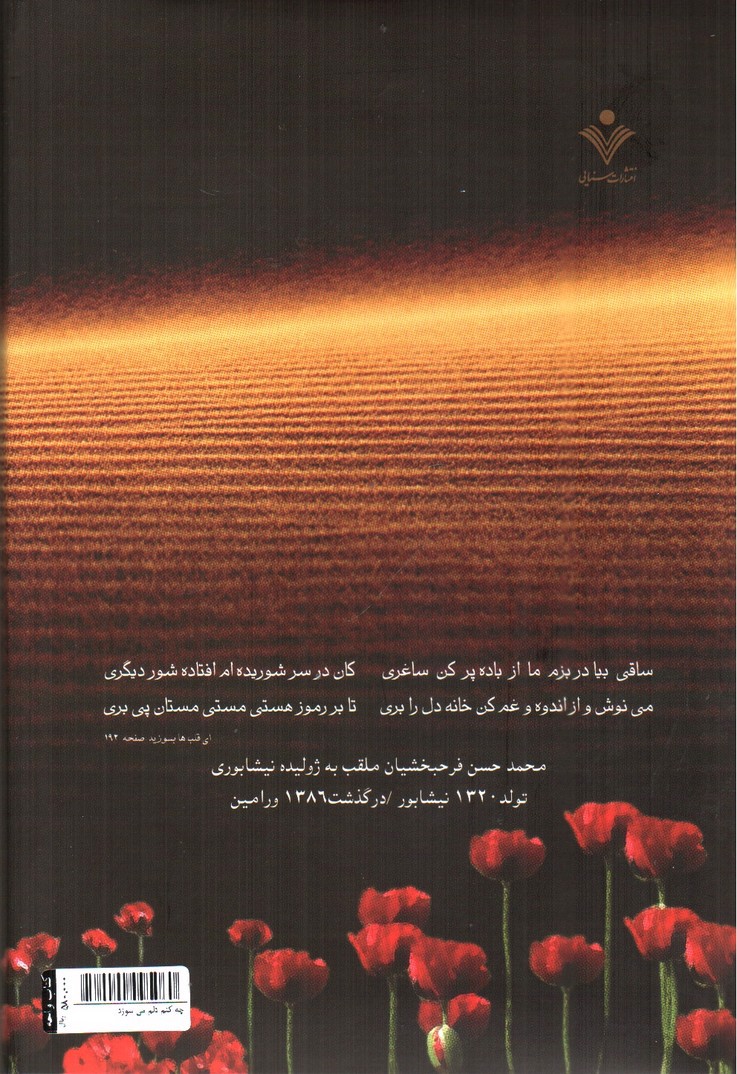 تصویر کتاب چه کنم دلم می سوزد