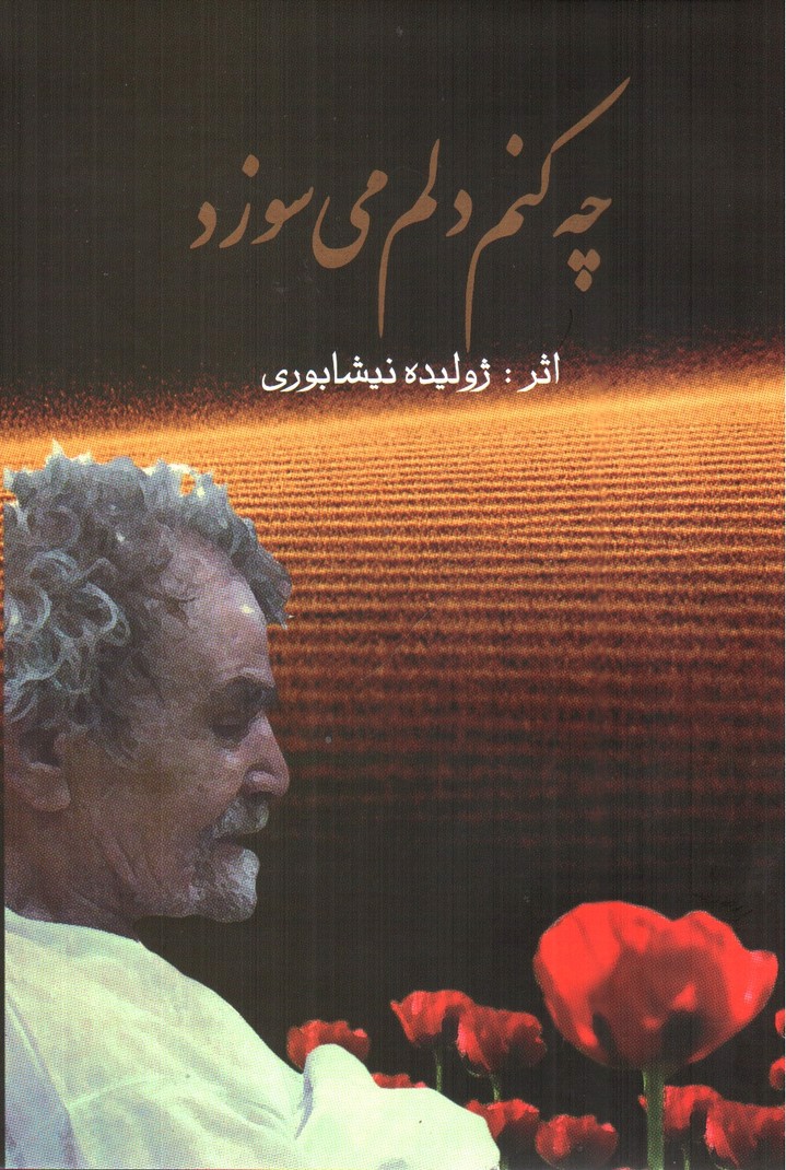 تصویر کتاب چه کنم دلم می سوزد