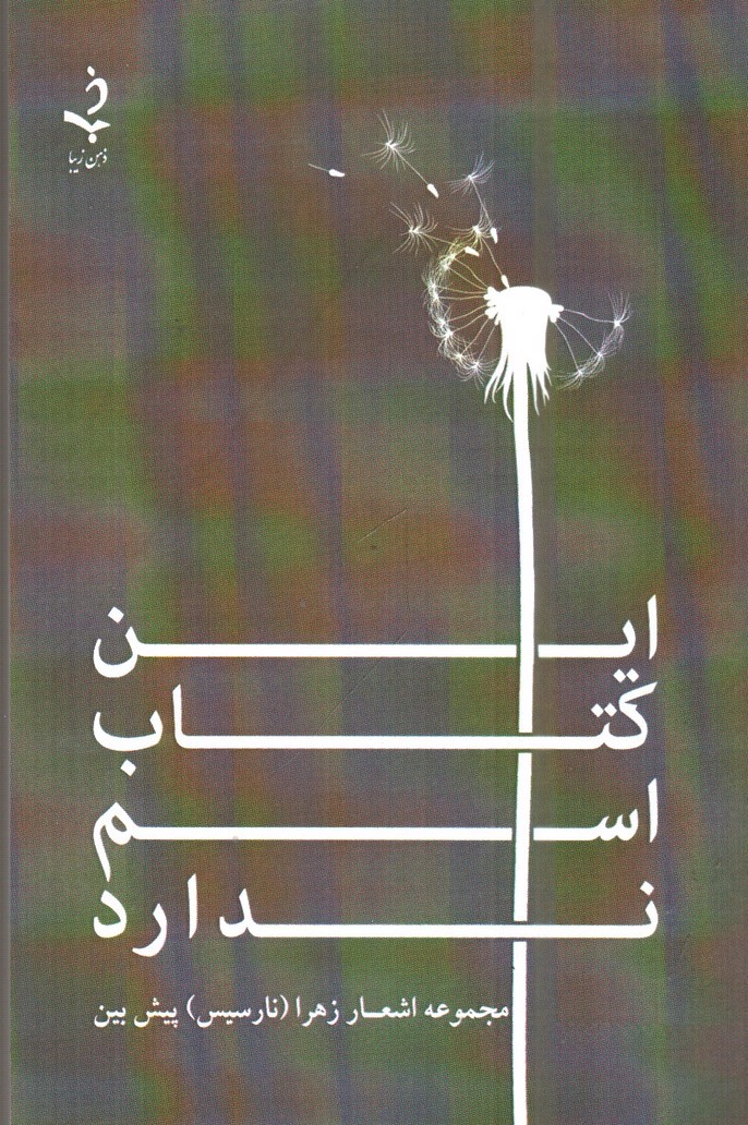 تصویر کتاب این کتاب اسم ندارد