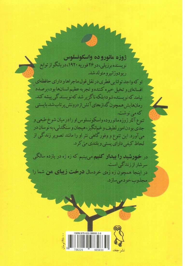 تصویر کتاب خورشید را بیدار کنیم 