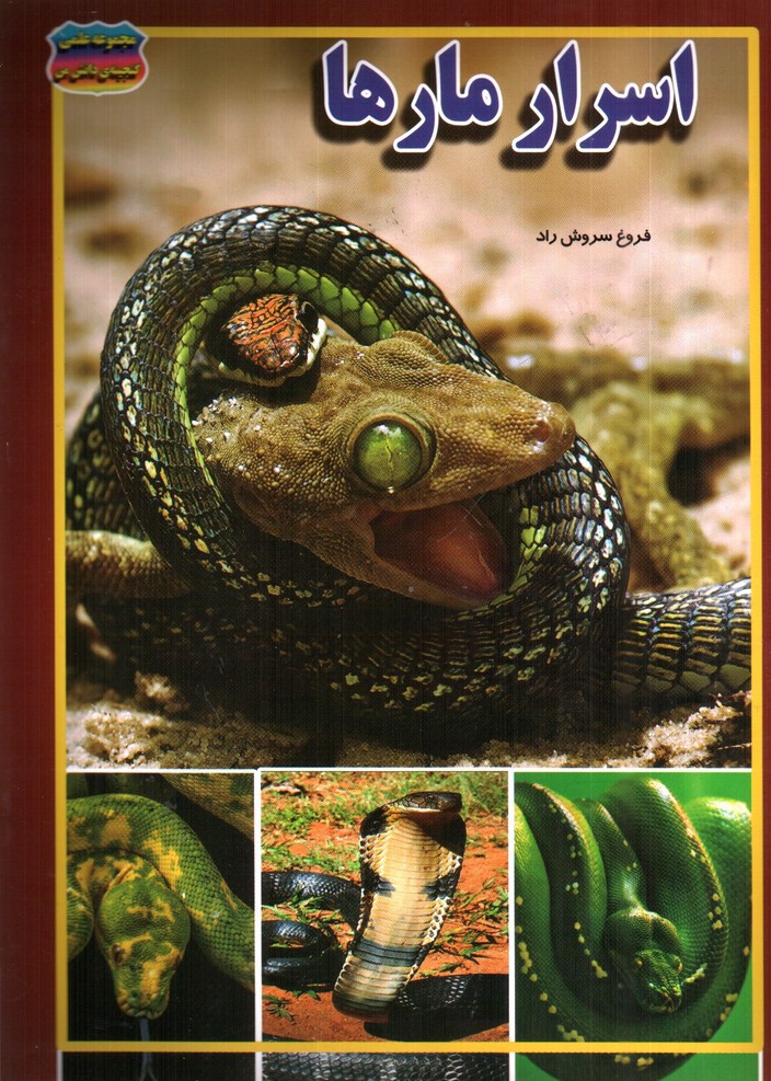 تصویر کتاب مجموعه علمی گنجینه ی دانش من اسرار مارها