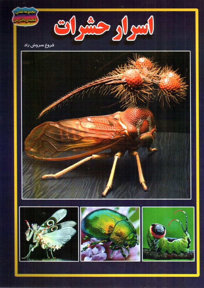 تصویر کتاب مجموعه علمی گنجینه ی دانش من اسرار حشرات