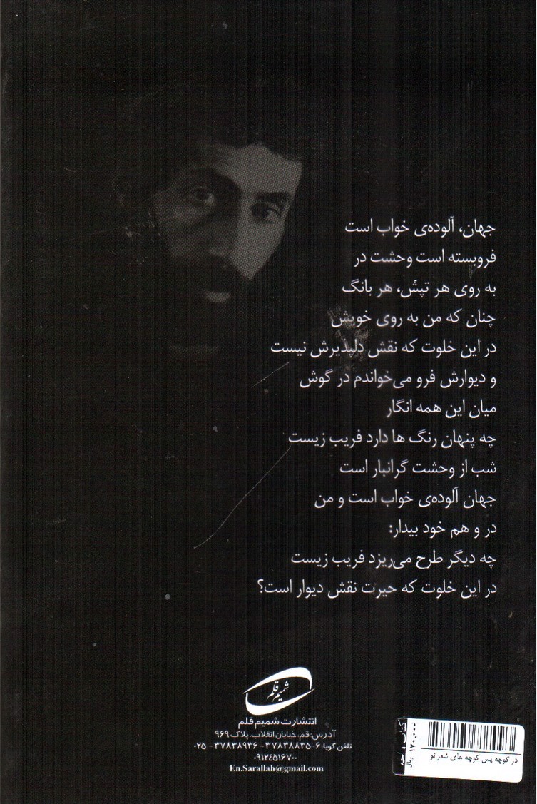 تصویر کتاب در کوچه پس کوچه های شعر نو