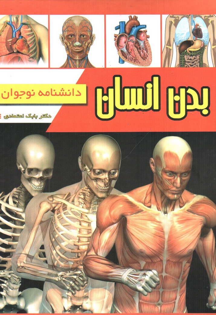 تصویر کتاب دانشنامه نوجوان بدن انسان